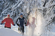 Skiurlaub Zauchensee